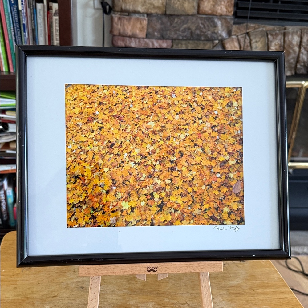 Autumn Leaves Framed Photo